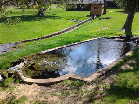 The duck pond is just above the tank in the lower left (under an apricot) and the infiltration path/trench it feeds is the. Duck Pond | Duck pond, Pond, Outdoor decor