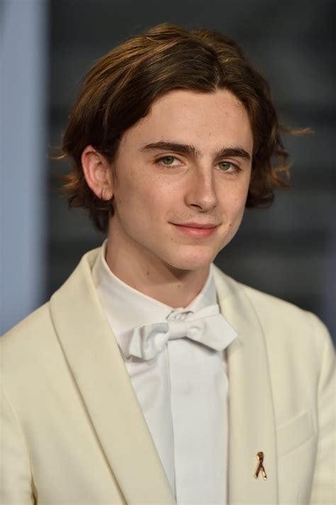 Timothée Chalamet As Laurie Little Women 2019 Movie Cast Popsugar