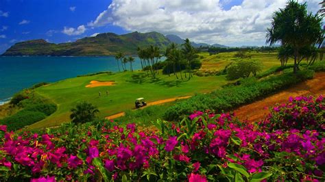 Sign up for free today! Hawaii Background Images (57+ images)