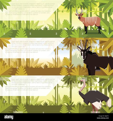 Jungle Animals Illustration Hi Res Stock Photography And Images Alamy
