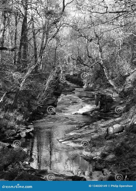 Monochrome Image Of A River Running Down A Steeply Wooded Hillside In