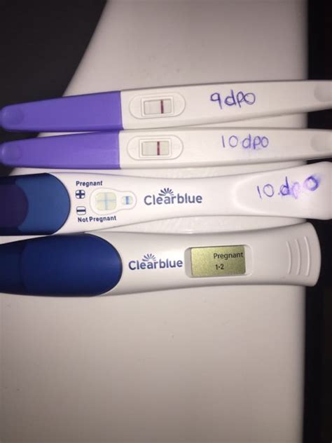 Strong Positive Pregnancy Test At 4 Weeks Pregnancy Test
