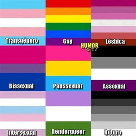 Qual a bandeira de vocês Me Bandeira Trans LGBT Amino