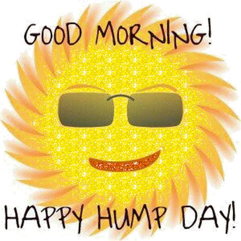 Wednesday Clipart Hump Day Wednesday Hump Day Transparent