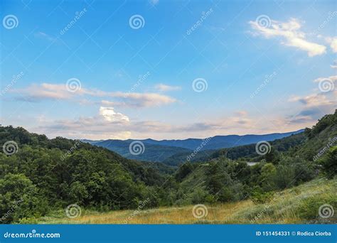 Beautiful Adventurous Background With Trees And Montains On The Side