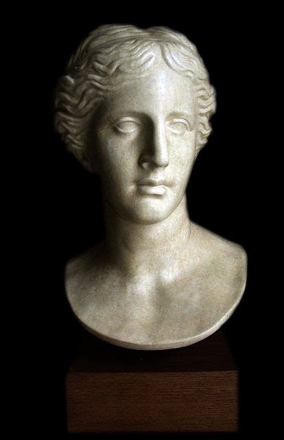 Aphrodite Of Melos Venus De Milo Ancient Greek Goddess Large Head Bust