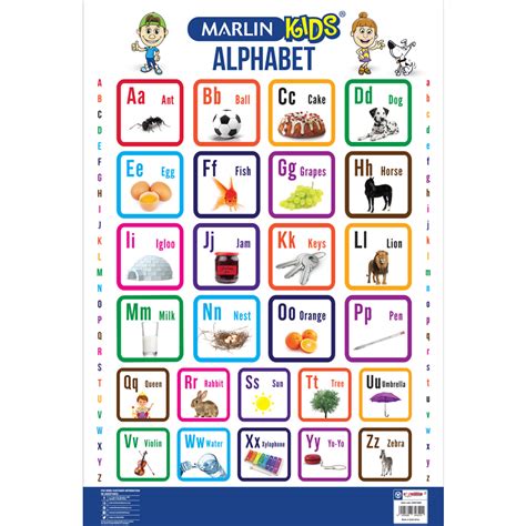 Anatomy students and enthusiasts can find a wealth of charts and illustrations online. Kids Chart: Alphabet | iNK Right Stationery & Electronics