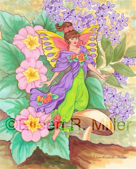 Illustration Gallery Primrose Fairy
