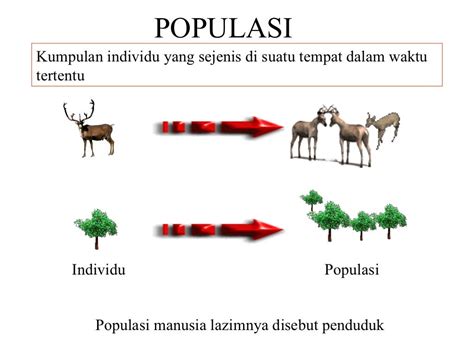 Ekologi1 Populasi