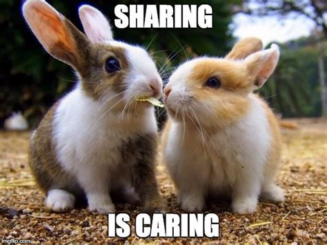 What Does Sharing Is Caring Mean