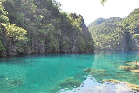 Kayangan Lake Coron Palawan Philippines Coron Palawan Palawan