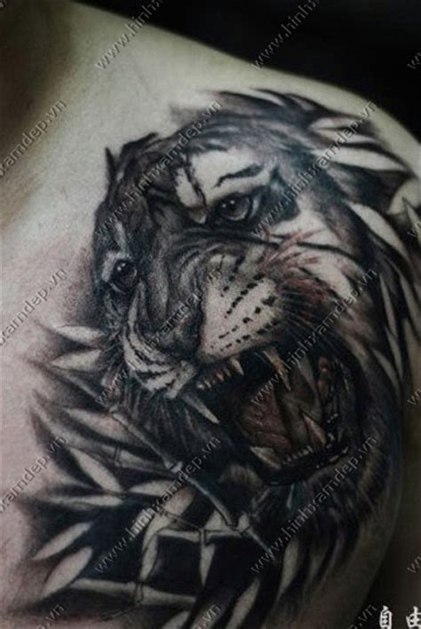 Hình xăm vùng kín kết hợp với dạng xăm chữ tàu đẹp. Tattoo hình xăm hổ ở ngực ra tay