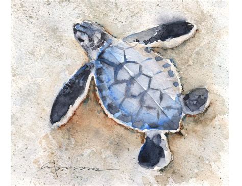 BABY SEA TURTLE No 29 Watercolor Turtle Print Coastal Art Etsy