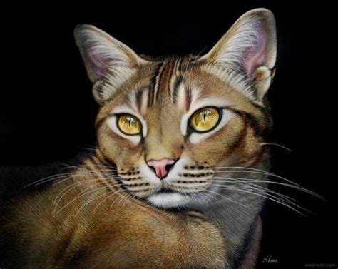 20 Beautiful And Realistic Animal Paintings By Heather Lara Картины