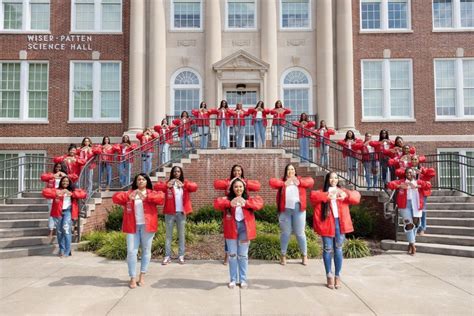 Meet The Sororities Of The Divine Nine Mtsu News