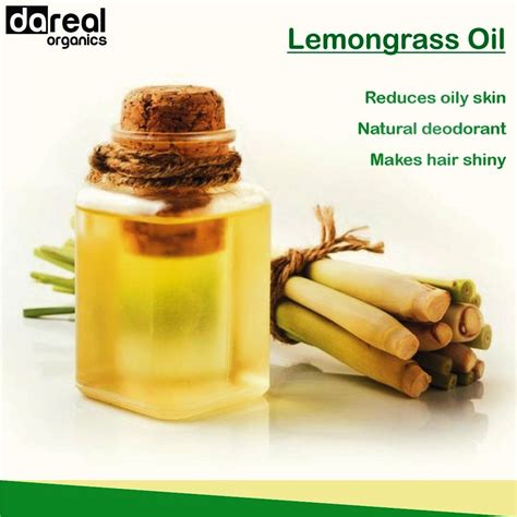 The places where lemongrass grows are mostly warm such as oceania, southeast asia and india. Benefits of Lemongrass Oil | Natural deodorant, Reduce ...