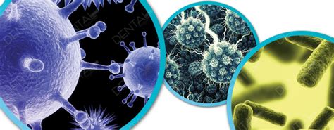 Infecciones Bacterianas En Pacientes Con Cirrosis Hepática