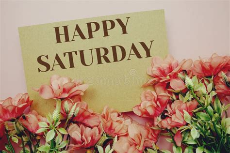 Happy Saturday Typography Text With Flowers On Pink Background Stock