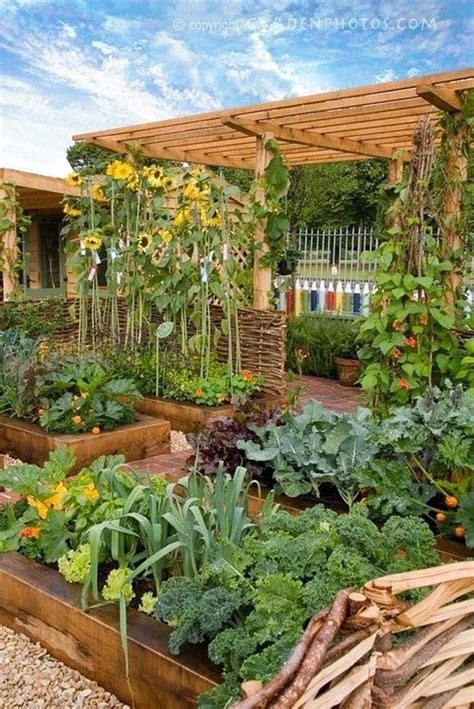 Best Backyard Vegetable Garden Designs Ideas Frugal Living Backyard
