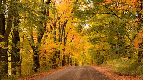 Country Dirt Road With Autumn Foliage Vermont New England Usa