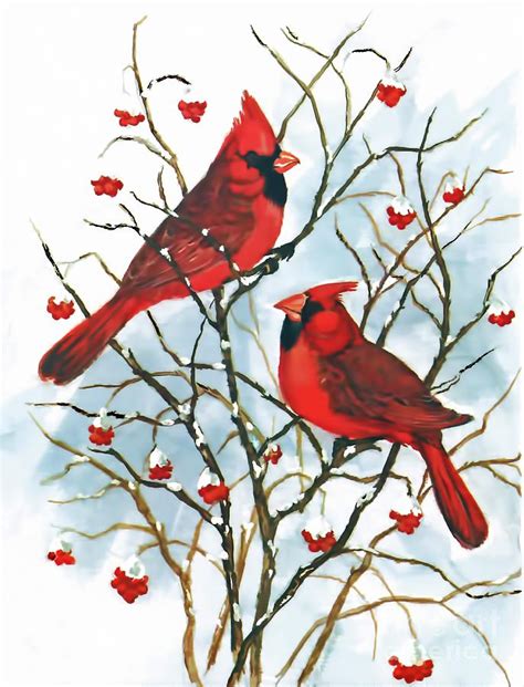 Cardinals In Winter Digital Art By D Hackett