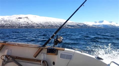 Go Out For Fishing Tromso Norway Youtube
