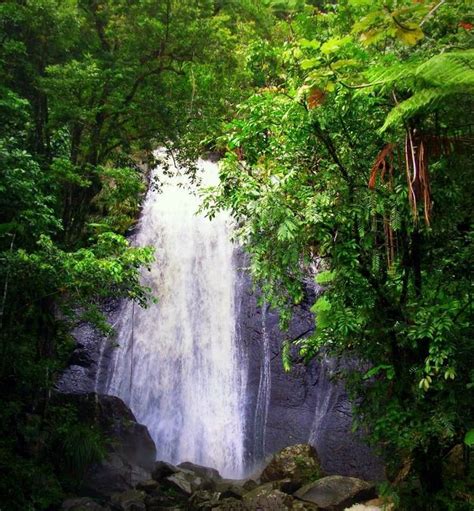 Waterfall In El Yunque San Juan Puerto Rico San Juan Puerto Rico Waterfall Beautiful Places