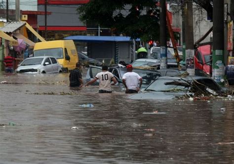 As Concentrações Urbanas Quando Destroem O Ambiente Natural Acabam Provocando