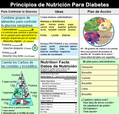Who doesn't love ice cream and other frozen desserts?! Diabetes Nutrition Principles -Spanish | Diabetic diet, Diabetes diet plan, Diabetic meal plan