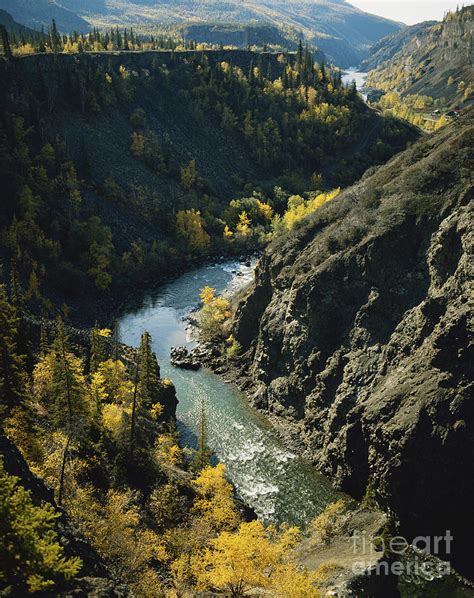 Stikine River British Columbia Photograph By Tracy Knauer Fine Art