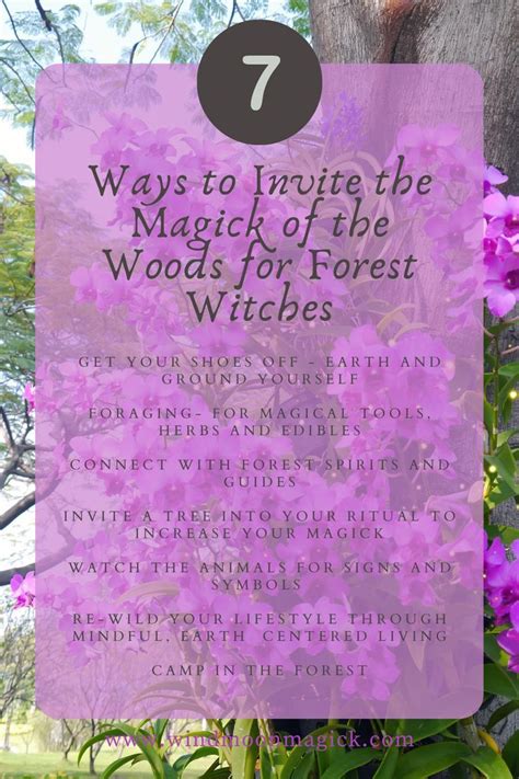 7 Easy Ways To Invite In The Magick Of The Woods Learn Witchcraft