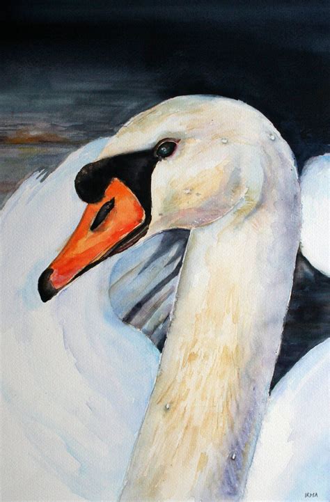 Art Watercolor Swan Close Up White Made By Irmatroostvogel Painting