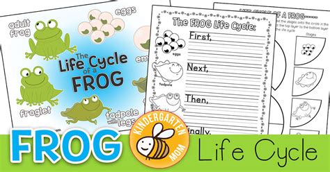 Frog Life Cycle Printables - Kindergarten Mom