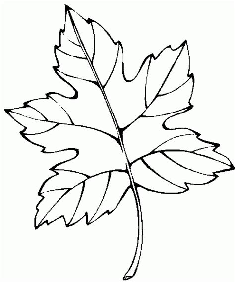 Dibujo de hojas de arce para colorear es una de las miles de hermosas imágenes de alta calidad de esta colección para colorear para niños. dibujos de hojas de flores de otono para colorear ...