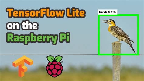 How To Run Tensorflow Lite On Raspberry Pi For Object Detection Youtube
