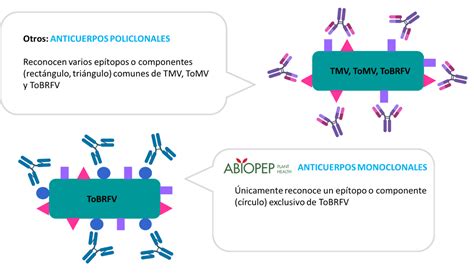 Abiopep Desarrolla Anticuerpos Monoclonales Para La Detección