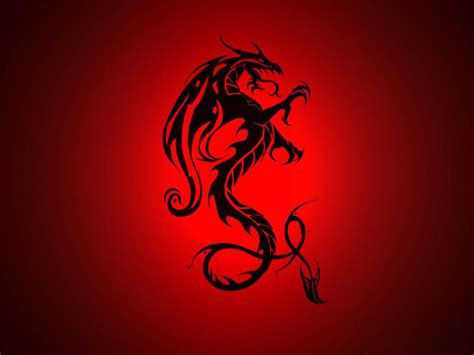 Dragon Symbol Wallpapers Top Free Dragon Symbol Backgrounds