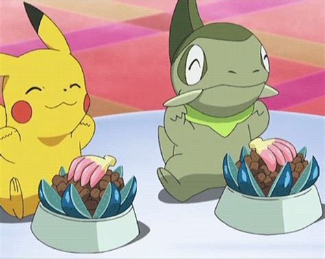 Pokémon  Eating Pokémon Food And Nanab Berries Is The Best Part Of Training Pokémon Blog