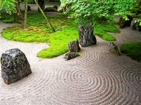 Giardino Zen Guida Completa