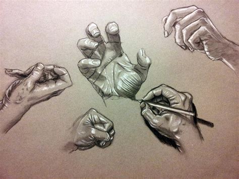 Anatomy Study Hands By Richardblumenstein On Deviantart