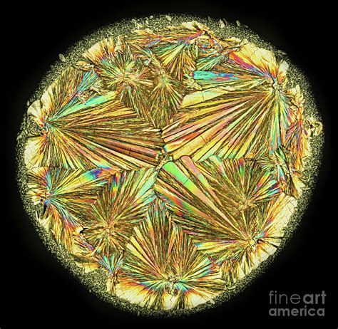 Ketamine Crystal Under Microscope Photograph By Drmarkusmicroscopy