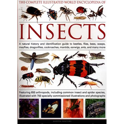 The Complete Illustrated World Encyclopedia Of Insects Oxfam Gb