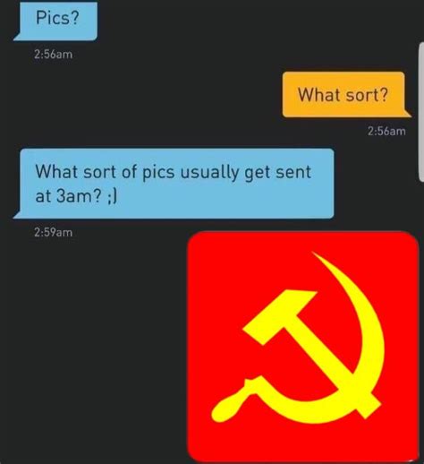 You See Comrade Lust Is Temporary But Our Ideals Are Forever R