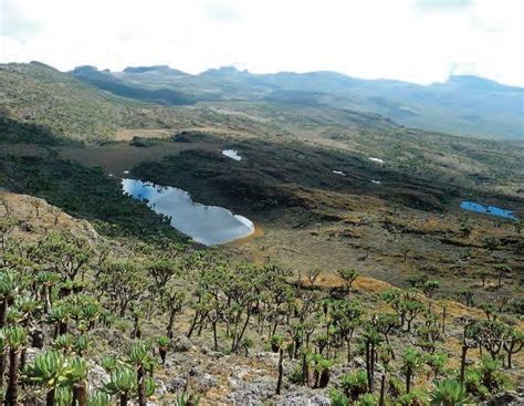 Mountain Elgon Caldera Is The Largest In The World
