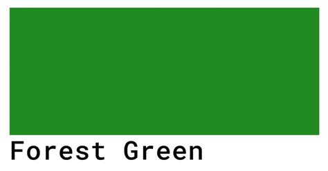 Forest Green Color Codes The Hex Rgb And Cmyk Values That You Need
