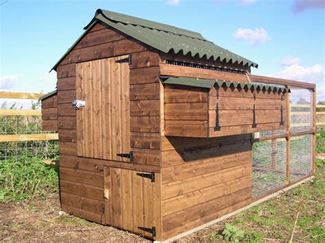 Chicken House Plans Top Tips For Building Chicken Coops