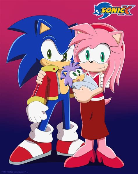 Sonic X Commission For Its Sonamy In Their Older Version With Their