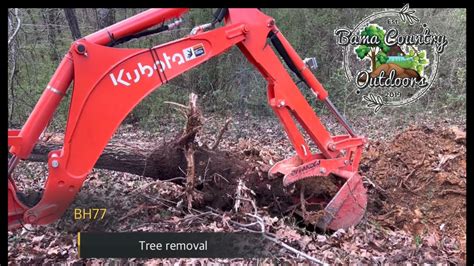 Kubota L2501 Bh77 Backhoe Tree Removal The Biggest Tree I Have