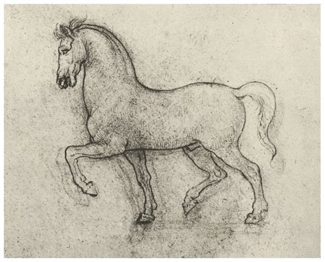 Leonardo Da Vinci Horse Drawings