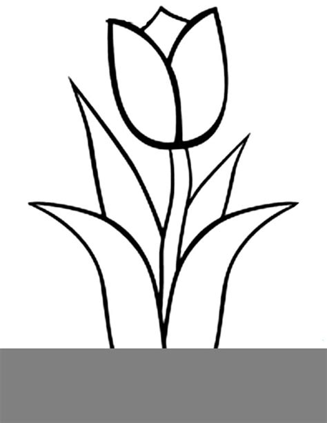 Tulips Clipart Black And White Free Images At Vector Clip